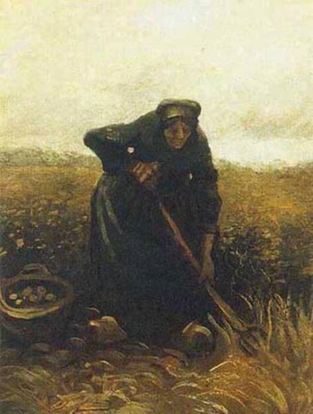 Peasant Woman Digging Up Potatoes Xx Van Gogh Museum Amsterdam By Vincent Van Gogh